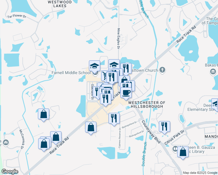 map of restaurants, bars, coffee shops, grocery stores, and more near 13016 Race Track Road in Tampa