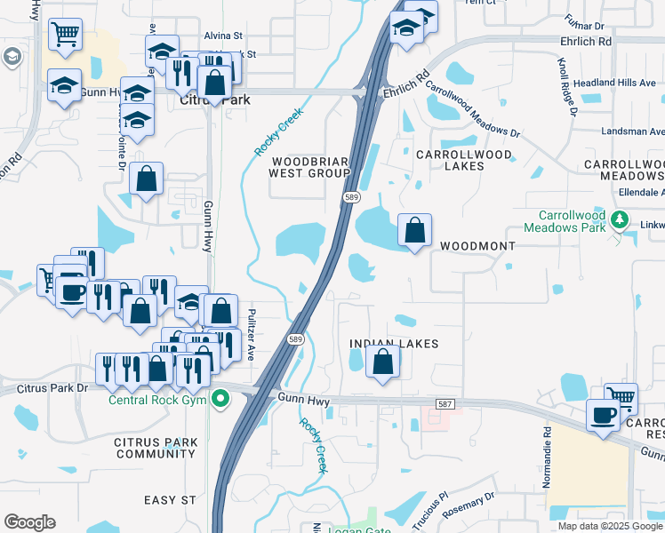 map of restaurants, bars, coffee shops, grocery stores, and more near Veterans Expressway in Tampa