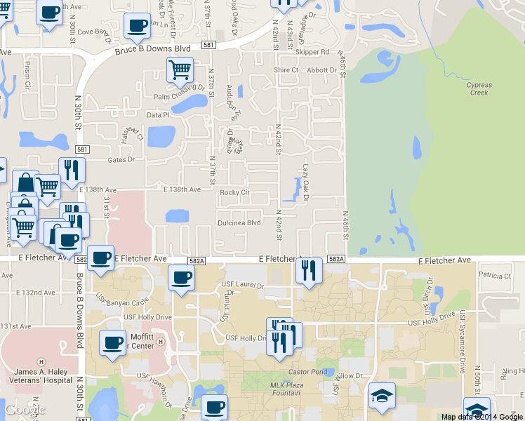 map of restaurants, bars, coffee shops, grocery stores, and more near 13714 North 42nd Street in Tampa