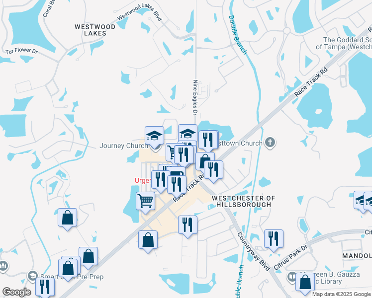 map of restaurants, bars, coffee shops, grocery stores, and more near 13910 Nine Eagles Drive in Tampa