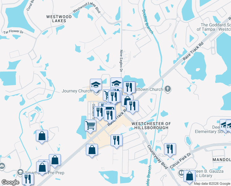 map of restaurants, bars, coffee shops, grocery stores, and more near 13910 Nine Eagles Drive in Tampa
