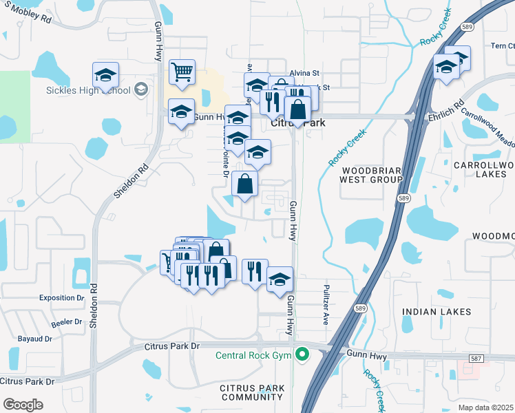 map of restaurants, bars, coffee shops, grocery stores, and more near 14135 Citrus Crest Circle in Tampa