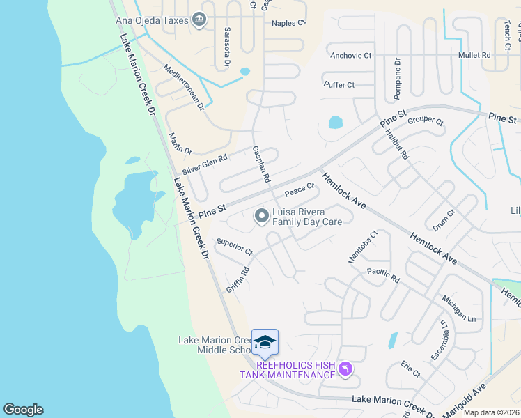 map of restaurants, bars, coffee shops, grocery stores, and more near 558 Peace Drive in Kissimmee