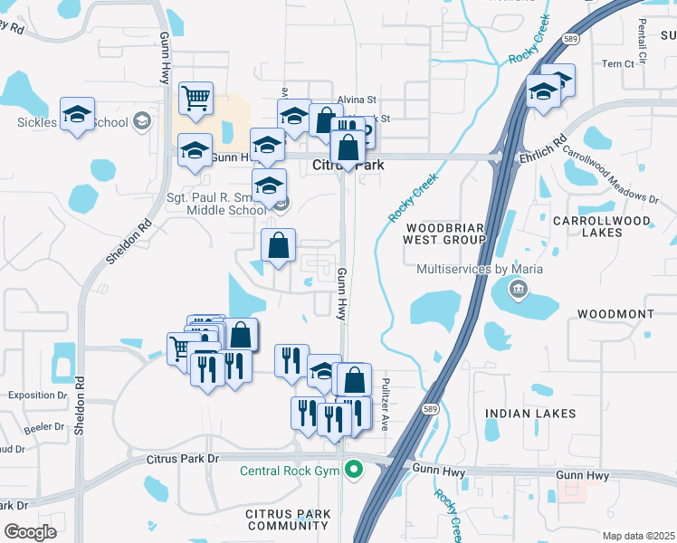 map of restaurants, bars, coffee shops, grocery stores, and more near 7416 Gunn Highway in Tampa