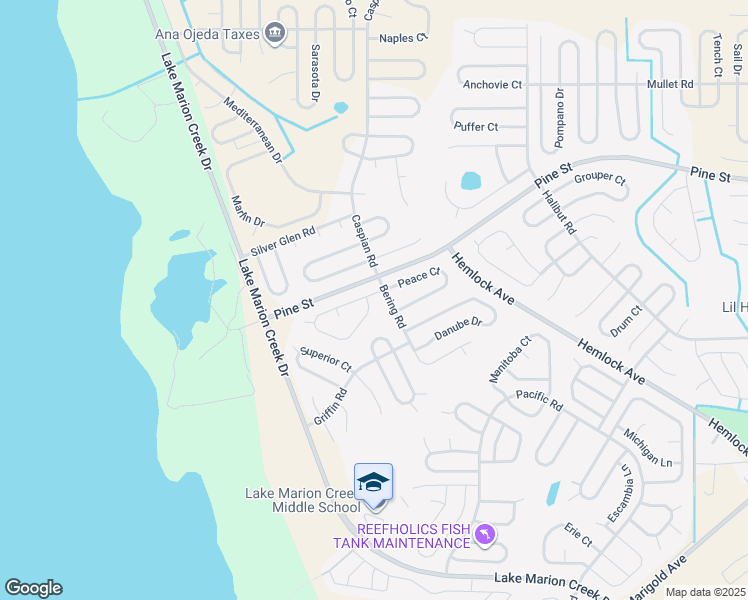 map of restaurants, bars, coffee shops, grocery stores, and more near 558 Peace Drive in Kissimmee