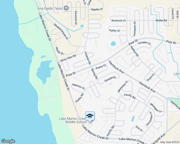 map of restaurants, bars, coffee shops, grocery stores, and more near 558 Peace Drive in Kissimmee