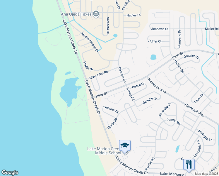 map of restaurants, bars, coffee shops, grocery stores, and more near 519 Peace Drive in Kissimmee