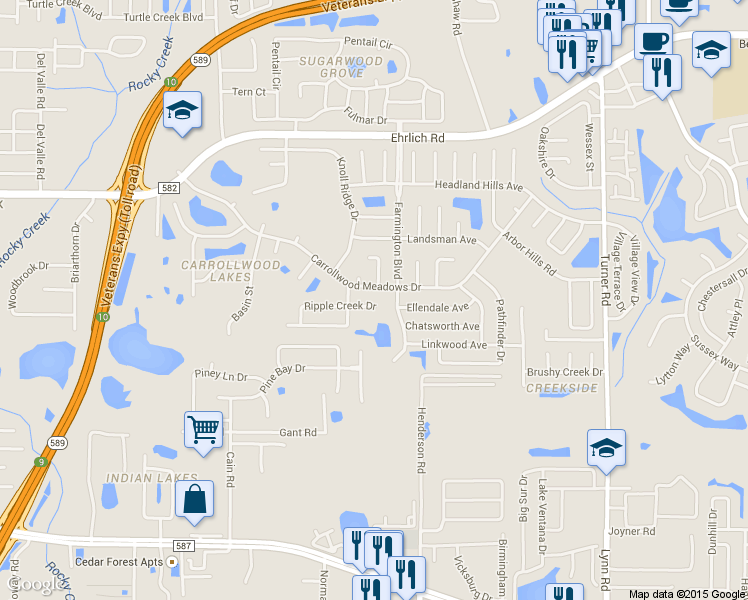map of restaurants, bars, coffee shops, grocery stores, and more near 5205 Ripple Creek Drive in Tampa