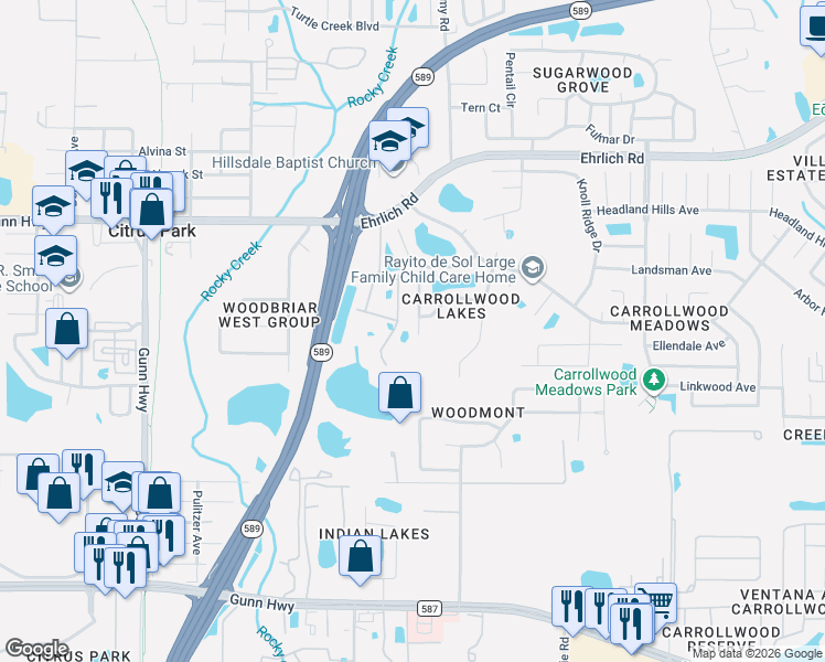 map of restaurants, bars, coffee shops, grocery stores, and more near 14002 Fullerton Drive in Tampa