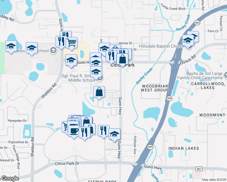 map of restaurants, bars, coffee shops, grocery stores, and more near 7502 Gunn Highway in Tampa