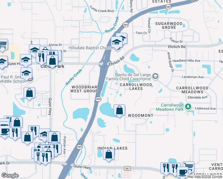 map of restaurants, bars, coffee shops, grocery stores, and more near 14302 Tom Fuller Road in Tampa