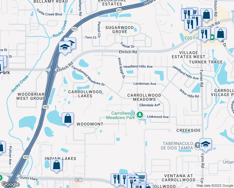 map of restaurants, bars, coffee shops, grocery stores, and more near Carrollwood Meadows Drive in Citrus Park