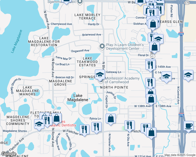 map of restaurants, bars, coffee shops, grocery stores, and more near 907 Clearcreek Drive in Tampa