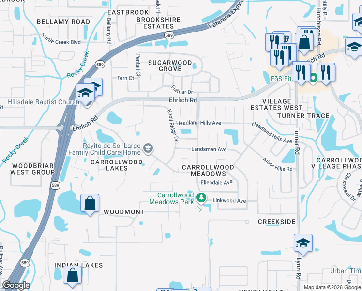 map of restaurants, bars, coffee shops, grocery stores, and more near 5216 Landsman Avenue in Tampa