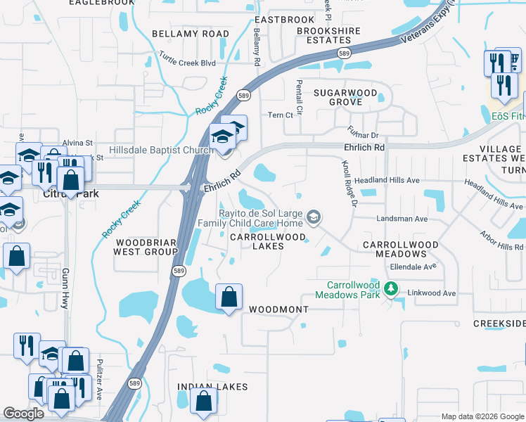 map of restaurants, bars, coffee shops, grocery stores, and more near 5716 Ridgestone Drive in Tampa
