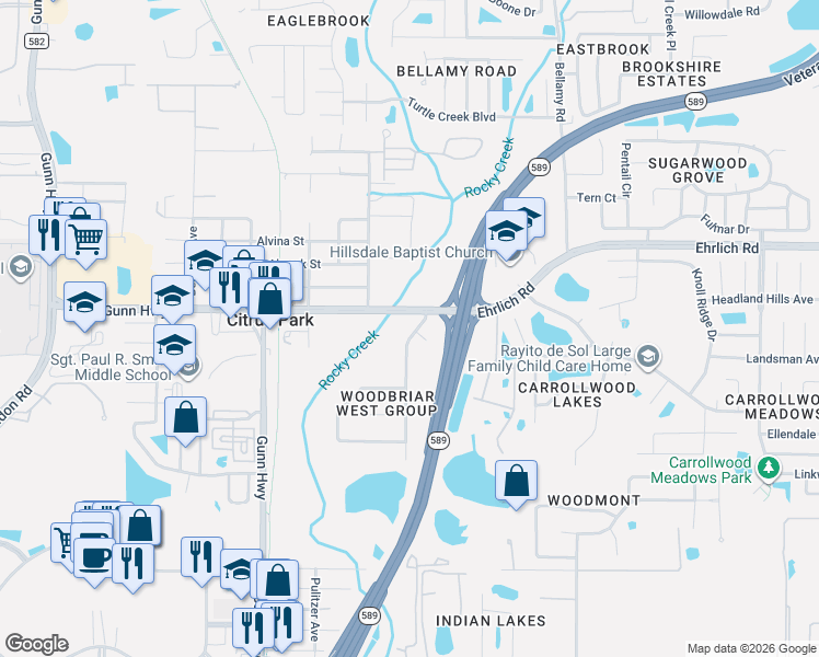 map of restaurants, bars, coffee shops, grocery stores, and more near 14216 Briarthorn Drive in Tampa