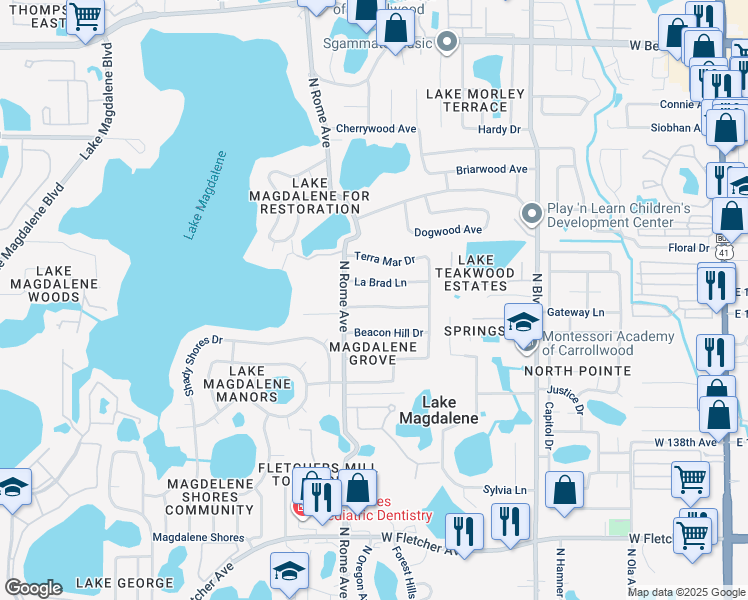 map of restaurants, bars, coffee shops, grocery stores, and more near 1215 Magdalene Grove Avenue in Tampa
