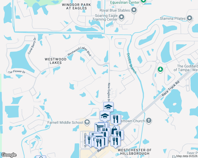 map of restaurants, bars, coffee shops, grocery stores, and more near 12516 Blazing Star Drive in Tampa