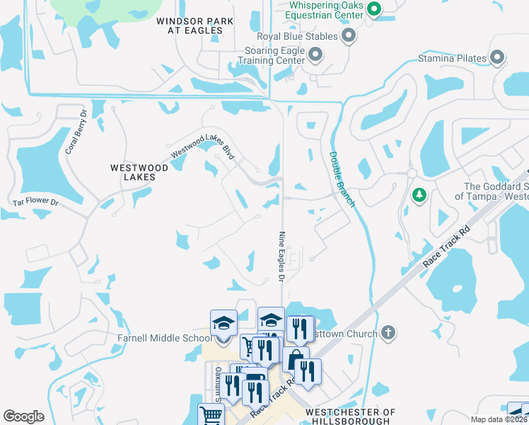 map of restaurants, bars, coffee shops, grocery stores, and more near 12501 Blazing Star Drive in Tampa