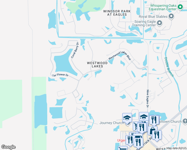 map of restaurants, bars, coffee shops, grocery stores, and more near 14515 Corkwood Drive in Tampa