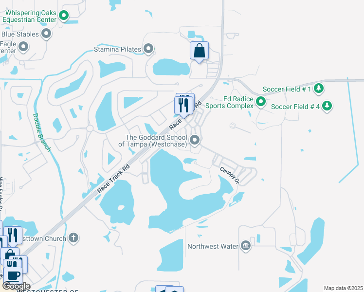 map of restaurants, bars, coffee shops, grocery stores, and more near 11644 Ecclesia Drive in Tampa