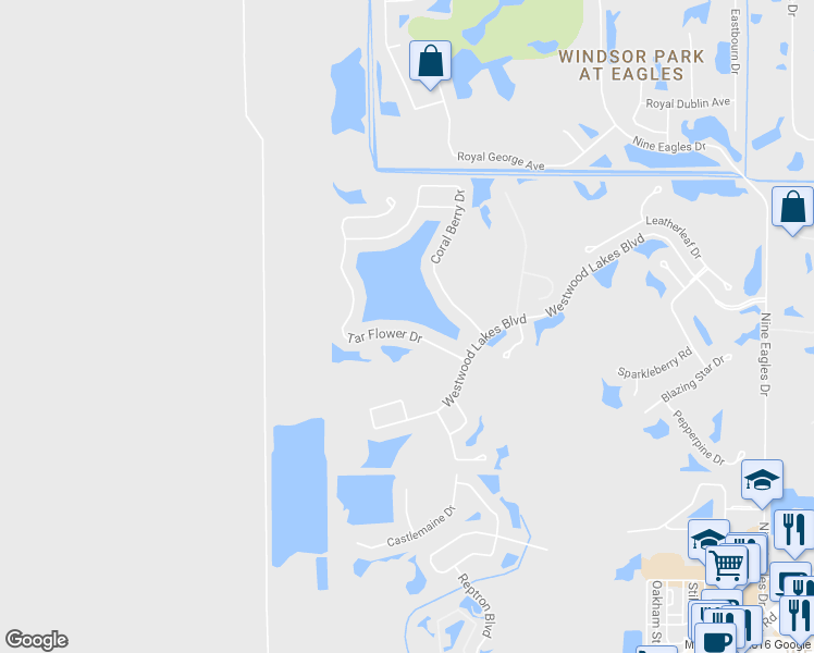 map of restaurants, bars, coffee shops, grocery stores, and more near 12724 Tar Flower Drive in Tampa