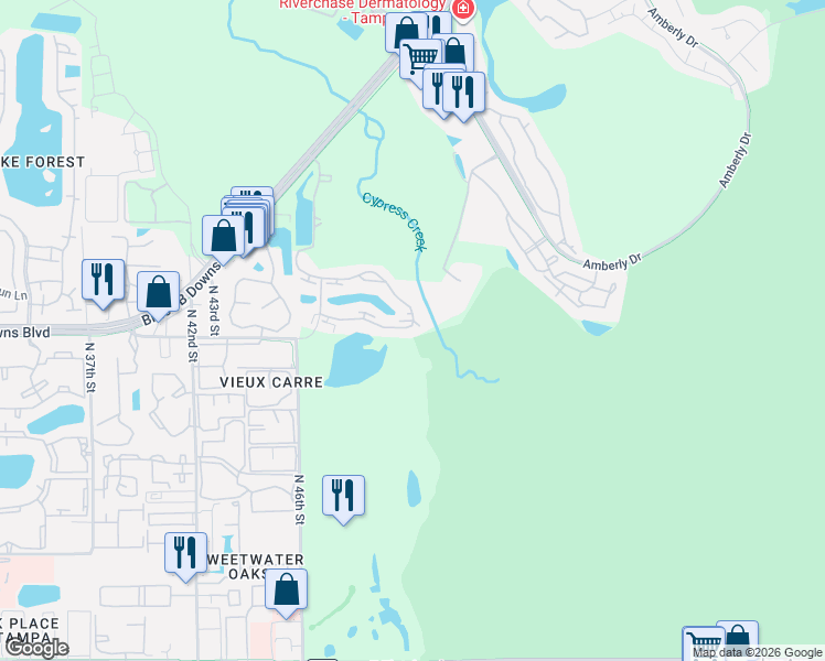 map of restaurants, bars, coffee shops, grocery stores, and more near 15501 Bruce B Downs Boulevard in Tampa