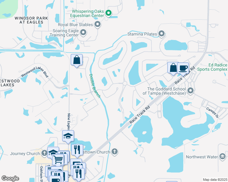 map of restaurants, bars, coffee shops, grocery stores, and more near 11909 Mandevilla Court in Tampa