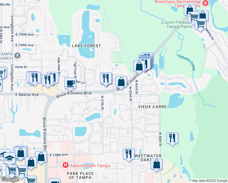 map of restaurants, bars, coffee shops, grocery stores, and more near Bruce B Downs Boulevard & Skipper Road in Tampa