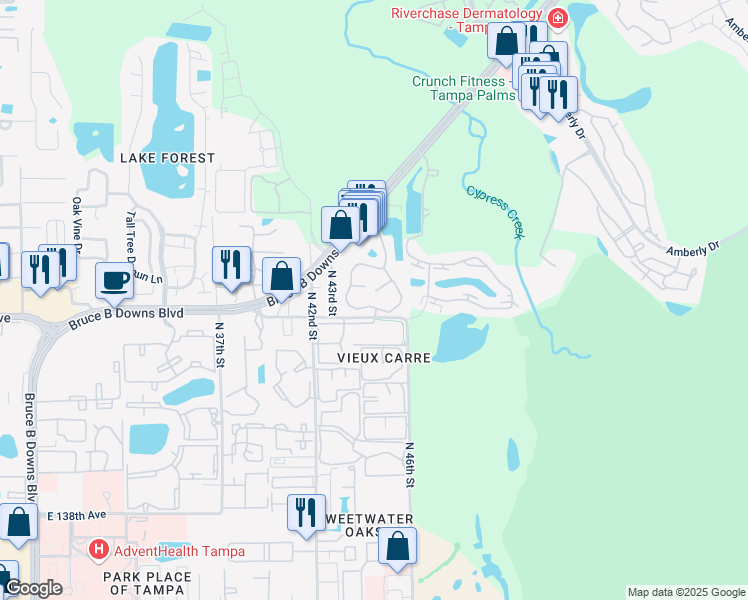 map of restaurants, bars, coffee shops, grocery stores, and more near 14609 Grenadine Drive in Tampa