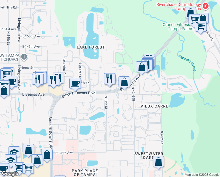 map of restaurants, bars, coffee shops, grocery stores, and more near 14546 Bruce B Downs Boulevard in Tampa