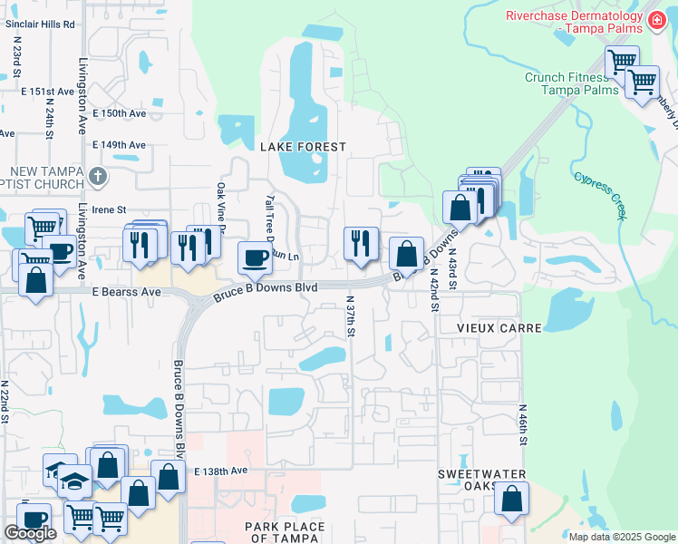 map of restaurants, bars, coffee shops, grocery stores, and more near 14649 Pine Glen Circle in Lutz