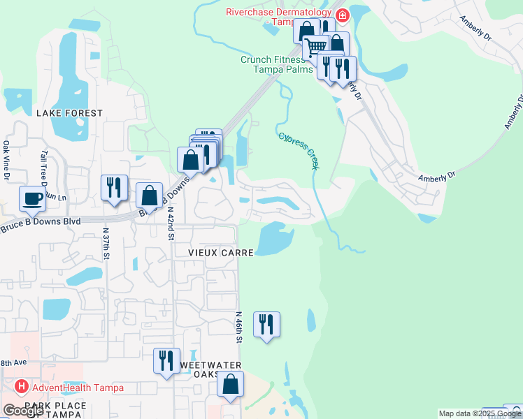 map of restaurants, bars, coffee shops, grocery stores, and more near 14551 North 46th Street in Tampa