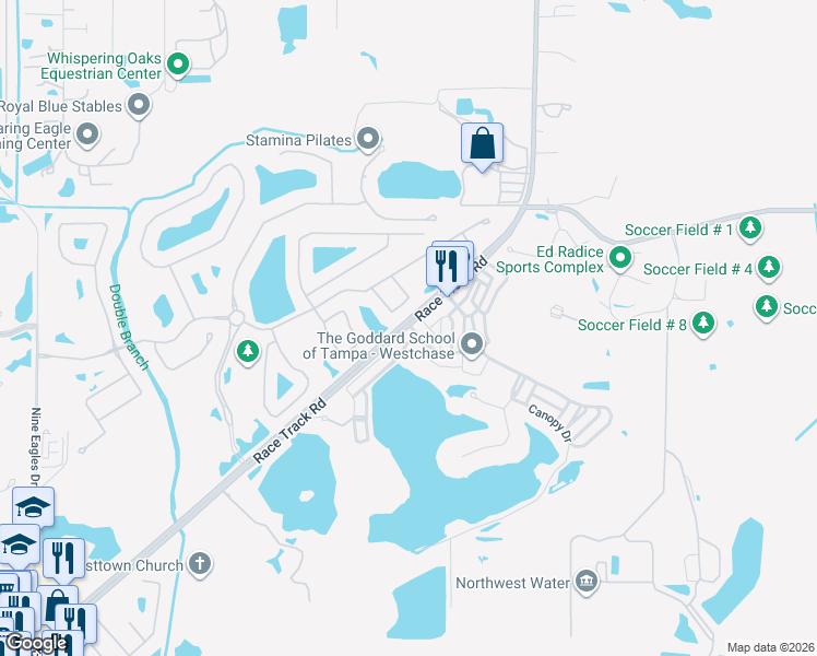 map of restaurants, bars, coffee shops, grocery stores, and more near 14101 Race Track Road in Tampa