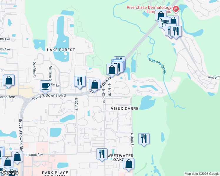 map of restaurants, bars, coffee shops, grocery stores, and more near 14619 North 43rd Street in Tampa