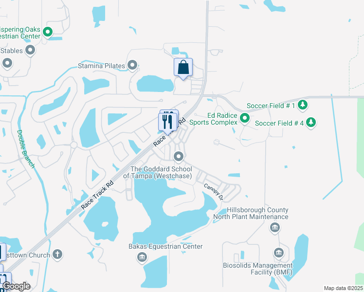 map of restaurants, bars, coffee shops, grocery stores, and more near 14751 Canopy Drive in Tampa