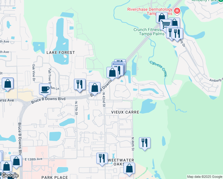 map of restaurants, bars, coffee shops, grocery stores, and more near 14617 North 43rd Street in Tampa