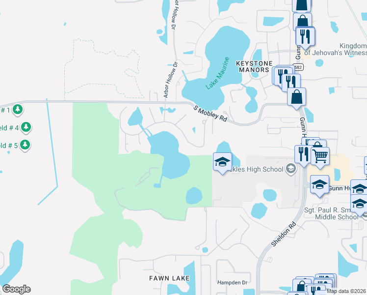 map of restaurants, bars, coffee shops, grocery stores, and more near 9130 Tillinghast Drive in Tampa