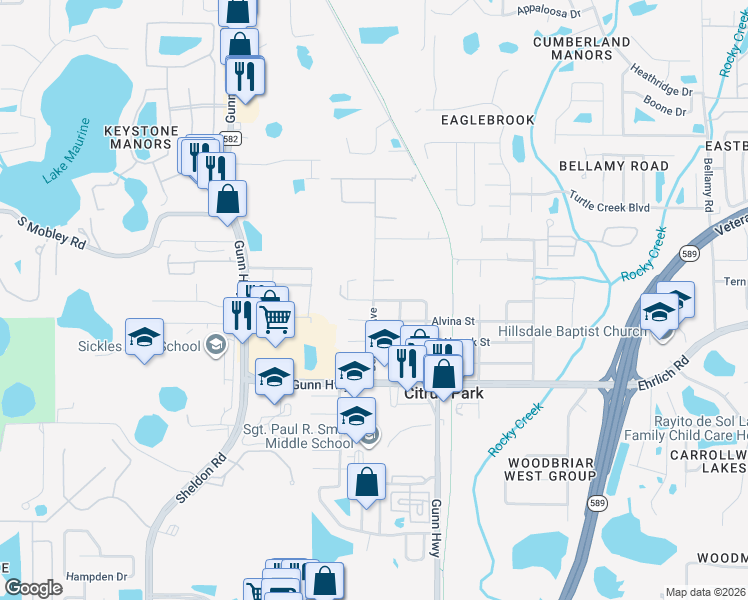 map of restaurants, bars, coffee shops, grocery stores, and more near 7718 Amherst Street in Tampa