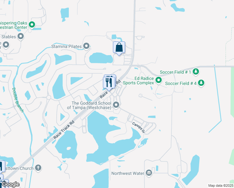 map of restaurants, bars, coffee shops, grocery stores, and more near 14751 Canopy Drive in Tampa