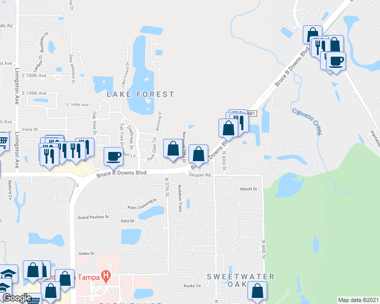 map of restaurants, bars, coffee shops, grocery stores, and more near 4031 Tumbleweed Drive in Tampa