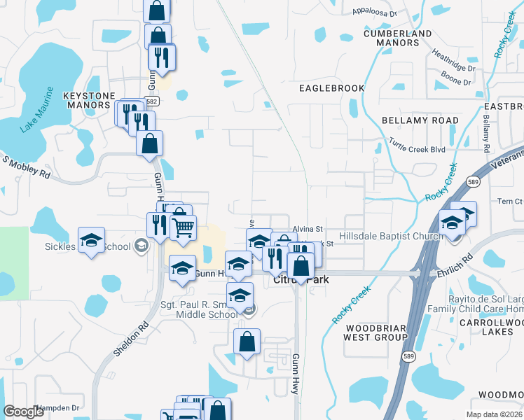 map of restaurants, bars, coffee shops, grocery stores, and more near 7706 Amherst Street in Tampa