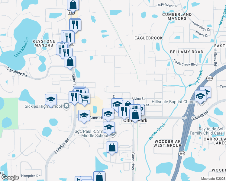 map of restaurants, bars, coffee shops, grocery stores, and more near 7718 Amherst Street in Tampa