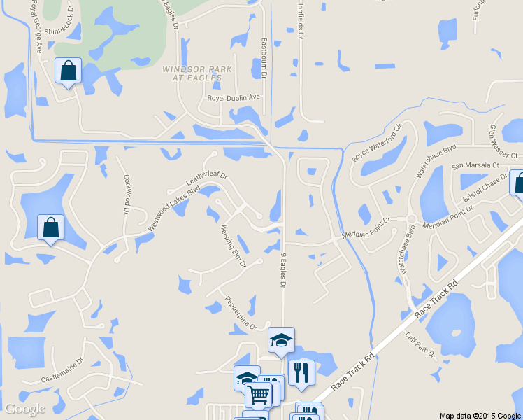 map of restaurants, bars, coffee shops, grocery stores, and more near 12506 Leatherleaf Drive in Tampa