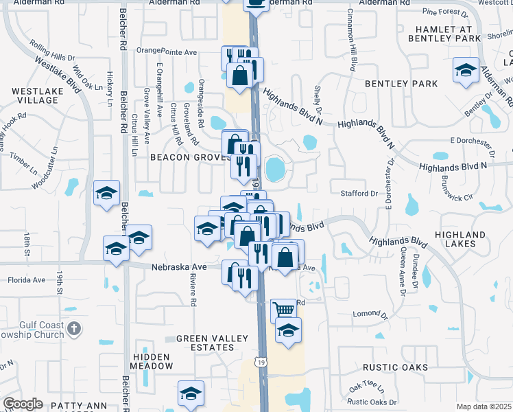 map of restaurants, bars, coffee shops, grocery stores, and more near Highway 55 in Palm Harbor