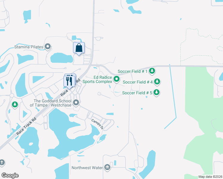 map of restaurants, bars, coffee shops, grocery stores, and more near 14720 Ed Radice Drive in Tampa