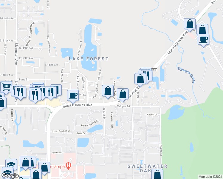 map of restaurants, bars, coffee shops, grocery stores, and more near 14707 North 37th Street in Lutz