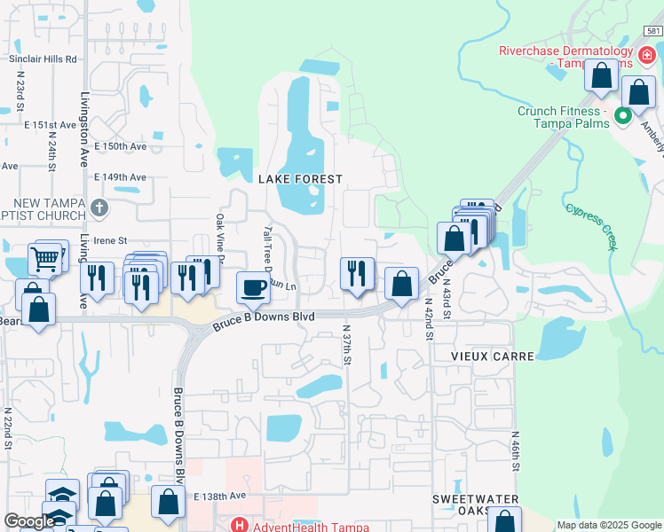 map of restaurants, bars, coffee shops, grocery stores, and more near 14691 Pine Glen Circle in Lutz