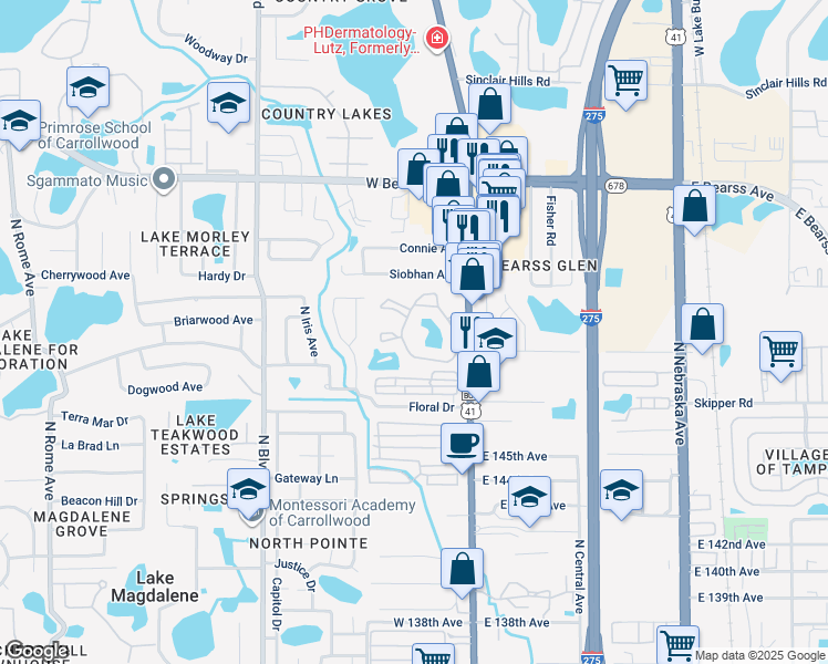 map of restaurants, bars, coffee shops, grocery stores, and more near 386 Windwood Oaks Drive in Tampa