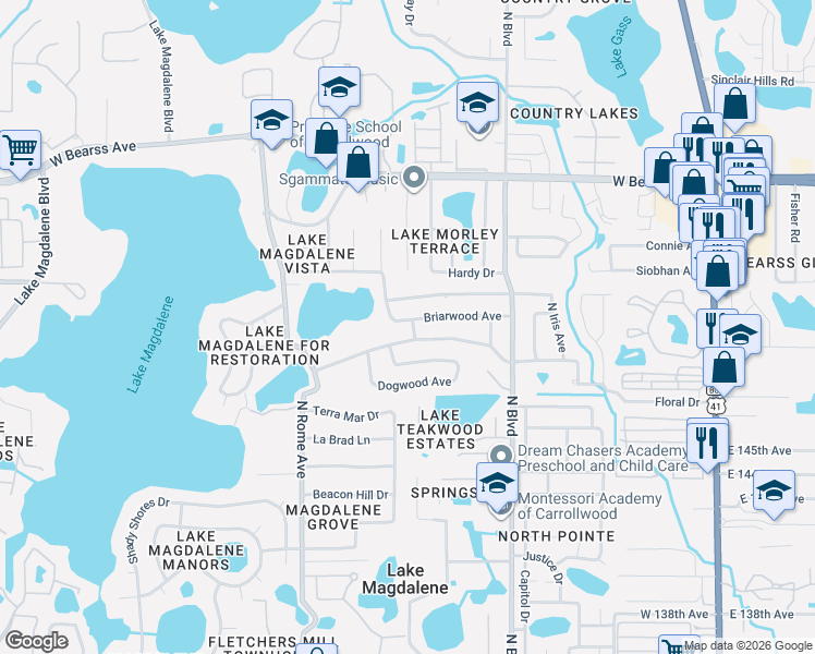 map of restaurants, bars, coffee shops, grocery stores, and more near 1102 Briarwood Avenue in Tampa